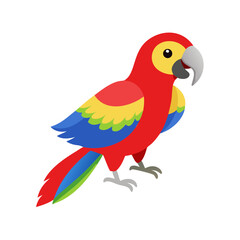 Parrot: The Colorful Birds of the Tropics