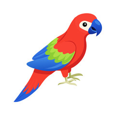 Parrot: The Colorful Birds of the Tropics