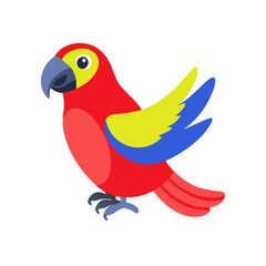 Parrot: The Colorful Birds of the Tropics
