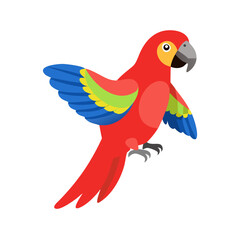 Parrot: The Colorful Birds of the Tropics