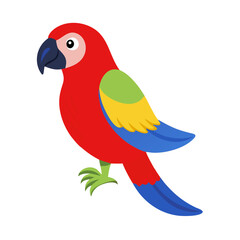 Parrot: The Colorful Birds of the Tropics