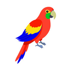 Parrot: The Colorful Birds of the Tropics