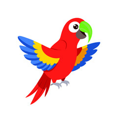 Parrot: The Colorful Birds of the Tropics