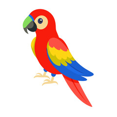 Parrot: The Colorful Birds of the Tropics