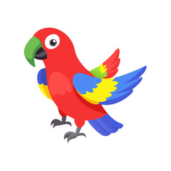 Parrot: The Colorful Birds of the Tropics