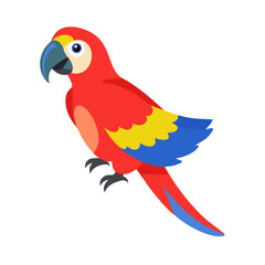 Parrot: The Colorful Birds of the Tropics
