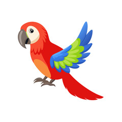 Parrot: The Colorful Birds of the Tropics