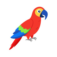 Parrot: The Colorful Birds of the Tropics