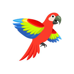 Parrot: The Colorful Birds of the Tropics