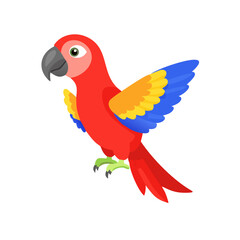 Parrot: The Colorful Birds of the Tropics