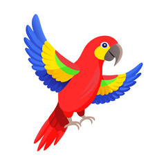Parrot: The Colorful Birds of the Tropics