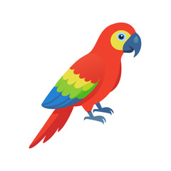 Parrot: The Colorful Birds of the Tropics
