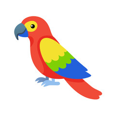 Parrot: The Colorful Birds of the Tropics