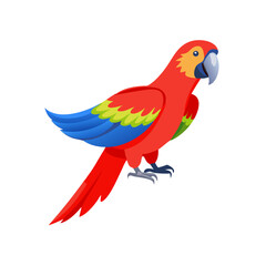 Parrot: The Colorful Birds of the Tropics