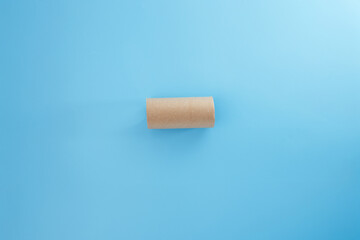 a simple cardboard tube from a toilet paper roll set against light blue background. cylindrical, and unadorned. household item, often used in DIY crafts, educational projects, recycling initiatives