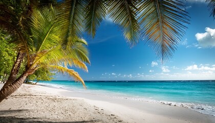 Obraz premium Palms Caribbean Sea and Sand