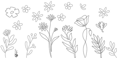 Elegant black and white floral pattern. Black and White Handdrawn Line Art Sketch of Botanical Elements illustration on a white background