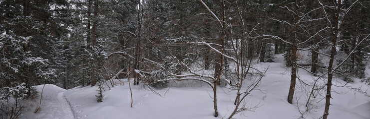 Tibble Fork Loop hiking winter storm snow views of trail Lone Peak Wilderness Uinta Wasatch Cache National Forest, Rocky Mountains, Utah. United States.