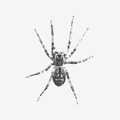 spider in scream for grunge punk y2k collage design, with a halftone stipple effect. Antique engraving illustration
