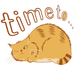 Fat ginger sleeping cat and the words time to, minimalistic illustration  on white background
