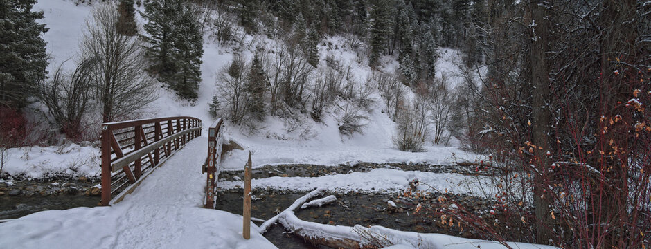 Tibble Fork Loop winter storm snow views from hiking trail Lone Peak Wilderness Uinta Wasatch Cache National Forest, Rocky Mountains, Utah. United States.