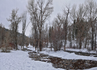 Tibble Fork Loop winter storm snow views from hiking trail Lone Peak Wilderness Uinta Wasatch Cache National Forest, Rocky Mountains, Utah. United States.