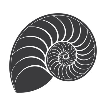 Minimalist Nautilus Shell Silhouette &ndash; Geometric Spiral in Black and White