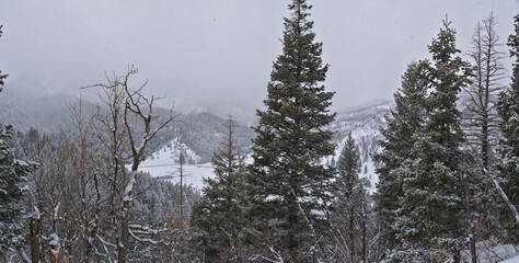 Tibble Fork Loop winter storm snow views from hiking trail Lone Peak Wilderness Uinta Wasatch Cache National Forest, Rocky Mountains, Utah. United States.