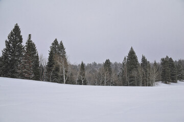 Tibble Fork Loop winter storm snow views from hiking trail Lone Peak Wilderness Uinta Wasatch Cache National Forest, Rocky Mountains, Utah. United States.