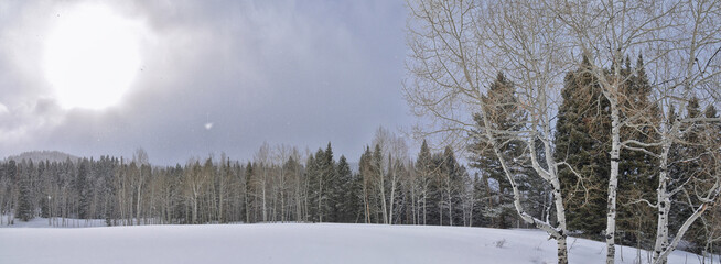 Tibble Fork Loop winter storm snow views from hiking trail Lone Peak Wilderness Uinta Wasatch Cache National Forest, Rocky Mountains, Utah. United States. © Jeremy