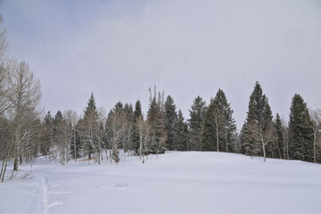 Tibble Fork Loop winter storm snow views from hiking trail Lone Peak Wilderness Uinta Wasatch Cache National Forest, Rocky Mountains, Utah. United States.