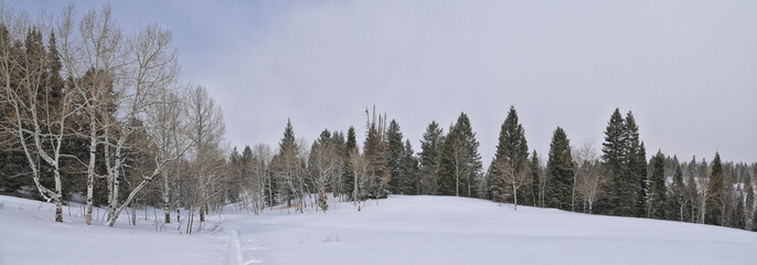 Tibble Fork Loop winter storm snow views from hiking trail Lone Peak Wilderness Uinta Wasatch Cache National Forest, Rocky Mountains, Utah. United States.