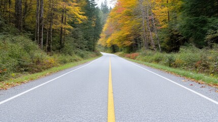 Fototapeta premium Autumn Roadway Fall Foliage, Crisp Day Lighting, High-Resolution Straight-on View, Asphalt Texture, Journey Ahead, Forest Canopy, Muted Gold Tones, Travel Brochure Design