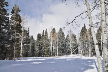 Tibble Fork Loop winter storm snow views from hiking trail Lone Peak Wilderness Uinta Wasatch Cache National Forest, Rocky Mountains, Utah. United States.