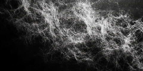 Abstract Black And White Spatter Pattern