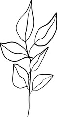 Hand Drawn Line Art of Leaf Illustration 