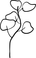 Hand Drawn Line Art of Leaf Illustration 