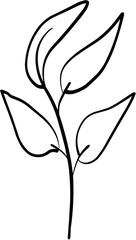 Hand Drawn Line Art of Leaf Illustration 