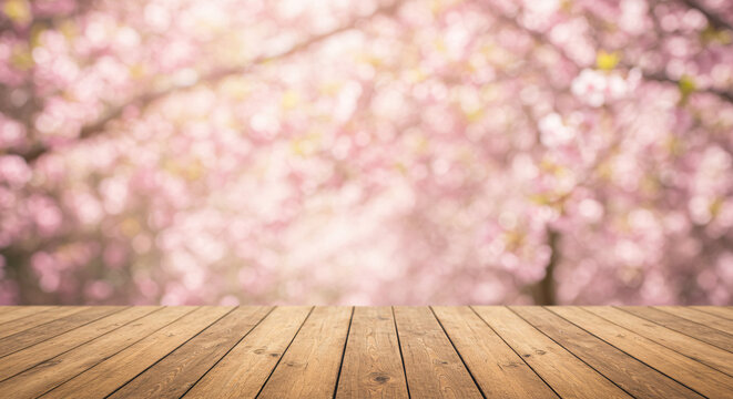 Spring Landscape with Cherry Blossoms and Wooden Deck &ndash; Tranquil Outdoor Scene

