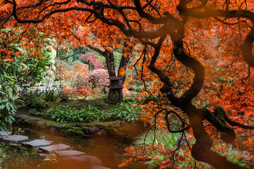 Japanese Garden at The Butchart Gardens on Vancouver Island in British Columbia Canada in Fall