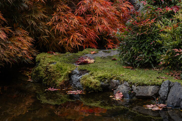 Pond at Japanese Garden at The Butchart Gardens on Vancouver Island in British Columbia Canada in Fall