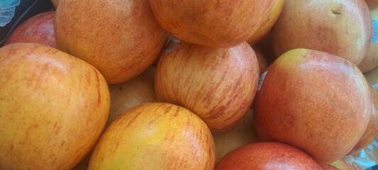 Fresh Red and Yellow Apples Close Up Fruit Harvest