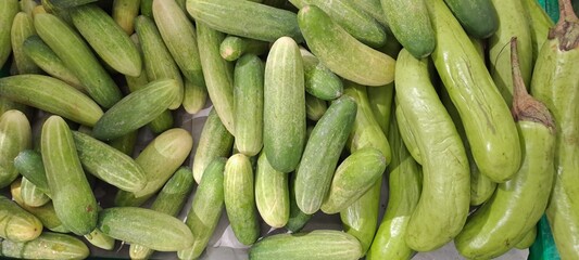 Fresh Green Cucumbers and Eggplants Abundant Harvest Healthy Vegetables Farm Produce