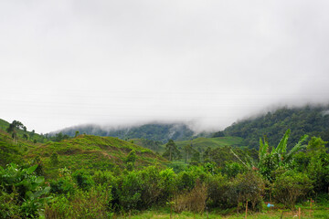fog in the mountains