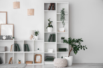 Interior of stylish modern living room with big shelving unit, home decor and houseplants