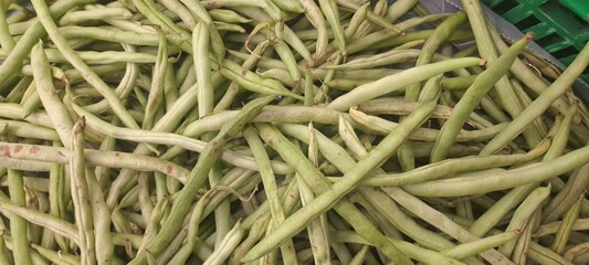 Fresh Green Beans Harvest Abundant Vegetable Produce Farm to Table Organic Food