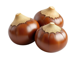 Obraz premium Fresh Organic Whole Roasted Sweet Chestnuts with Natural Brown Shell and Light Beige Top, Group of Three Nuts Isolated on Transparent and White Background