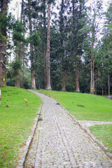 footpath in the park