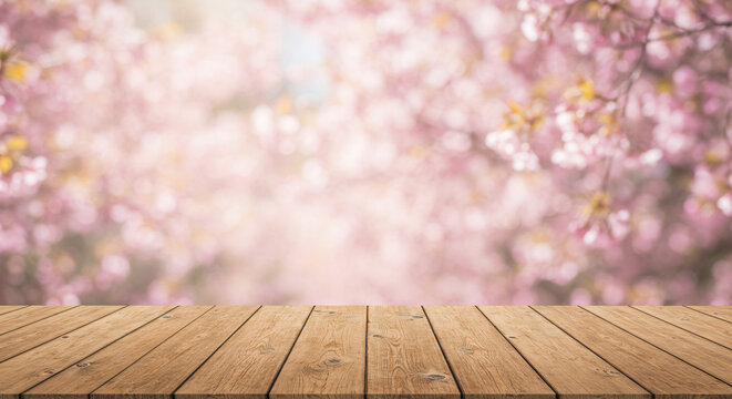 Spring Landscape with Cherry Blossoms and Wooden Deck &ndash; Tranquil Outdoor Scene
