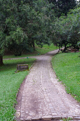 path in the park